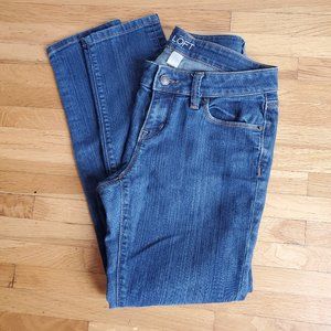 Ann Taylor Loft Modern Skinny Jeans Blue 4 Petite